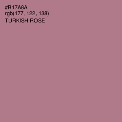 #B17A8A - Turkish Rose Color Image